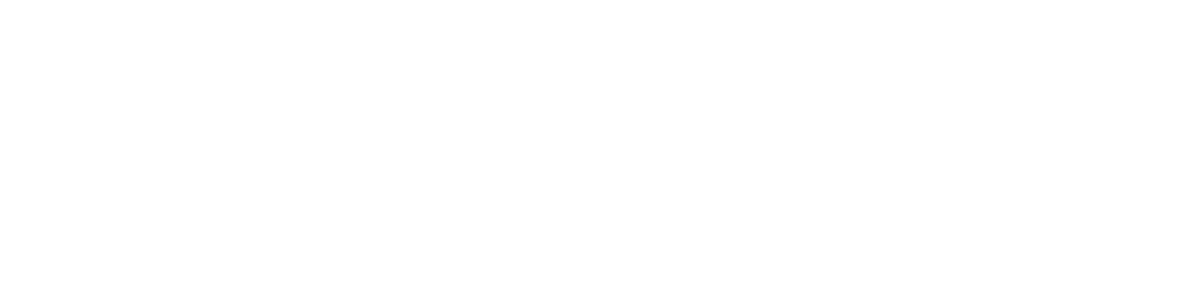 Orbis Icon